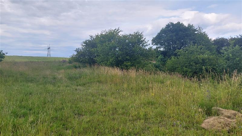 Działka - Strzelino  (4)