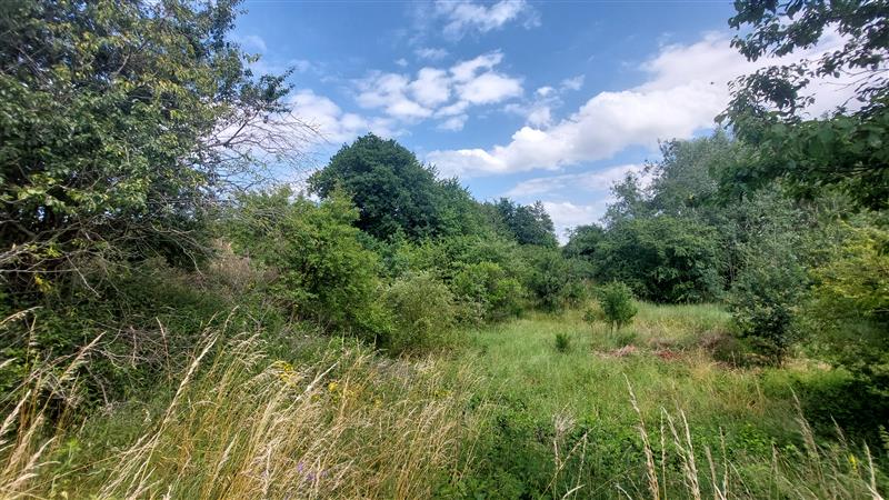 Działka - Strzelino  (5)