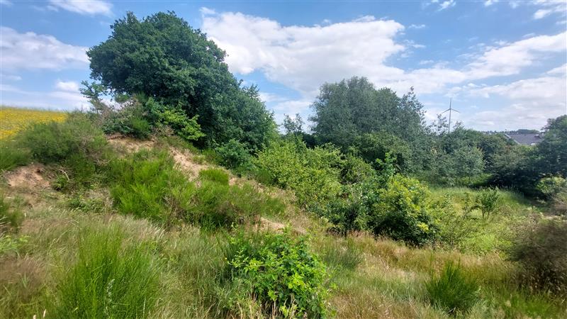 Działka - Strzelino  (6)