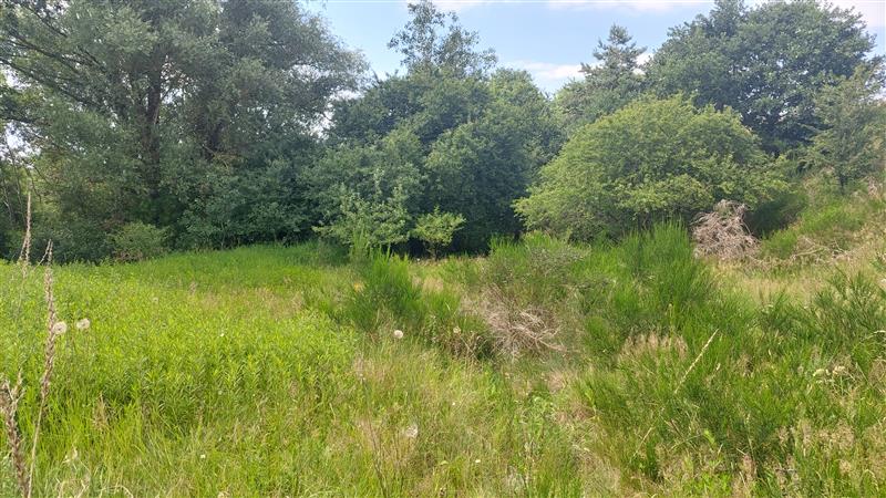 Działka - Strzelino  (7)