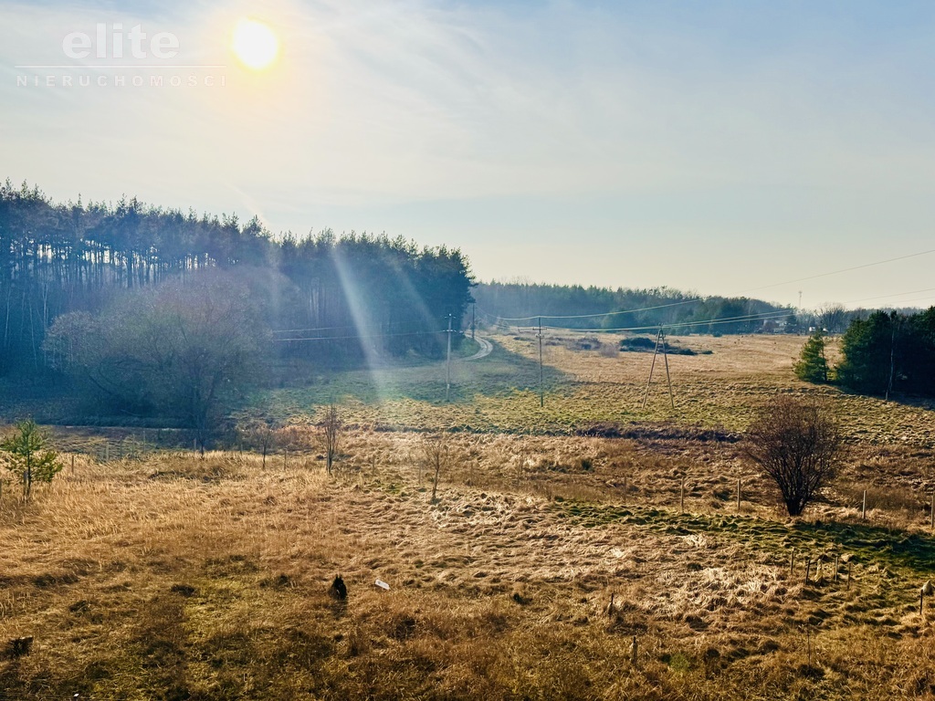 Bierzwnik, mały domek z dużą działką blisko lasu (19)