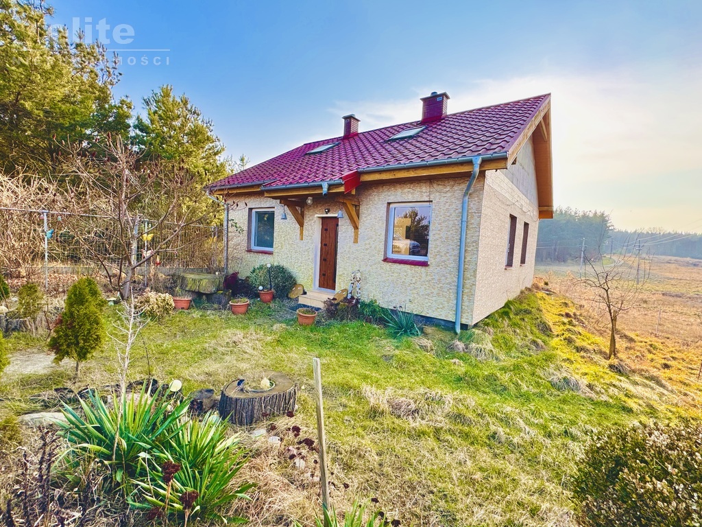 Bierzwnik, mały domek z dużą działką blisko lasu (1)