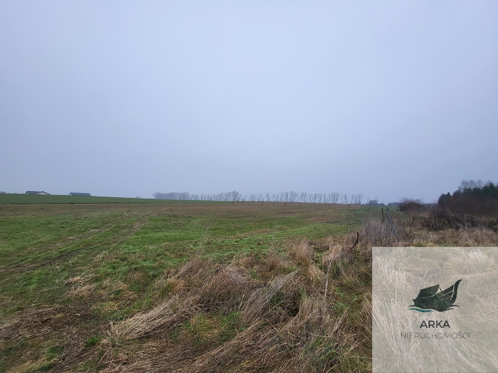 Działki 3000 m2 / Warzymice (2)