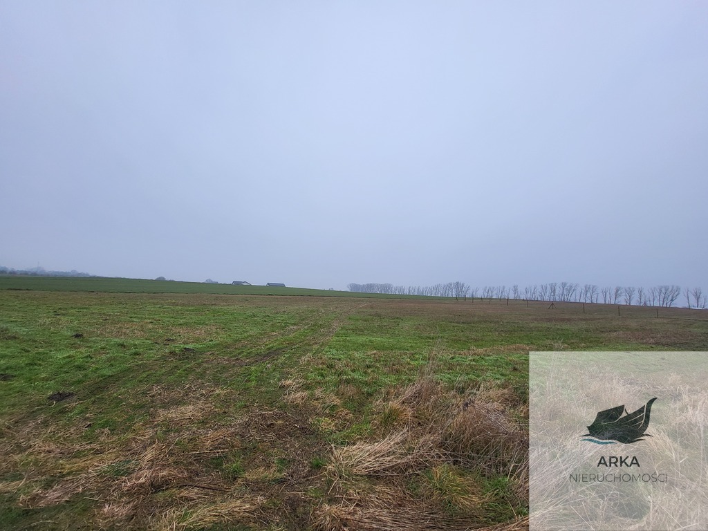 Działki 3000 m2 / Warzymice (3)