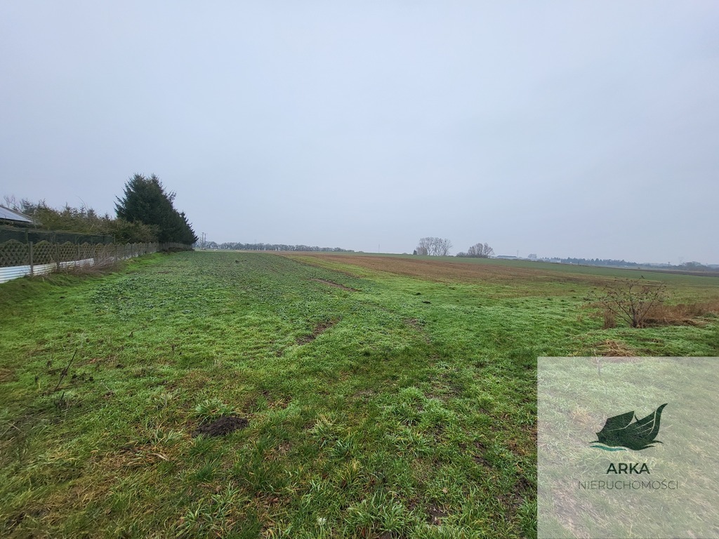 Warzymice / działki po 3000 m2 (3)