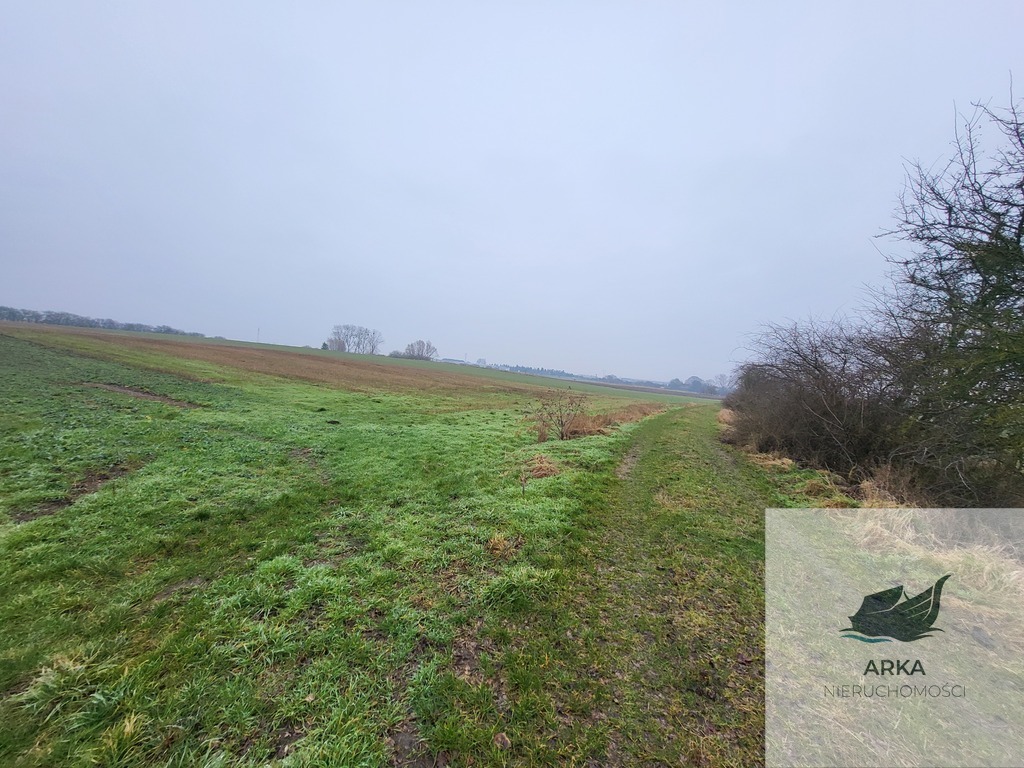 Warzymice / działki po 3000 m2 (4)