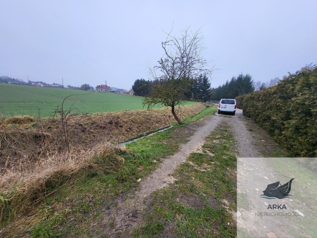 Warzymice / działki po 3000 m2 (5)