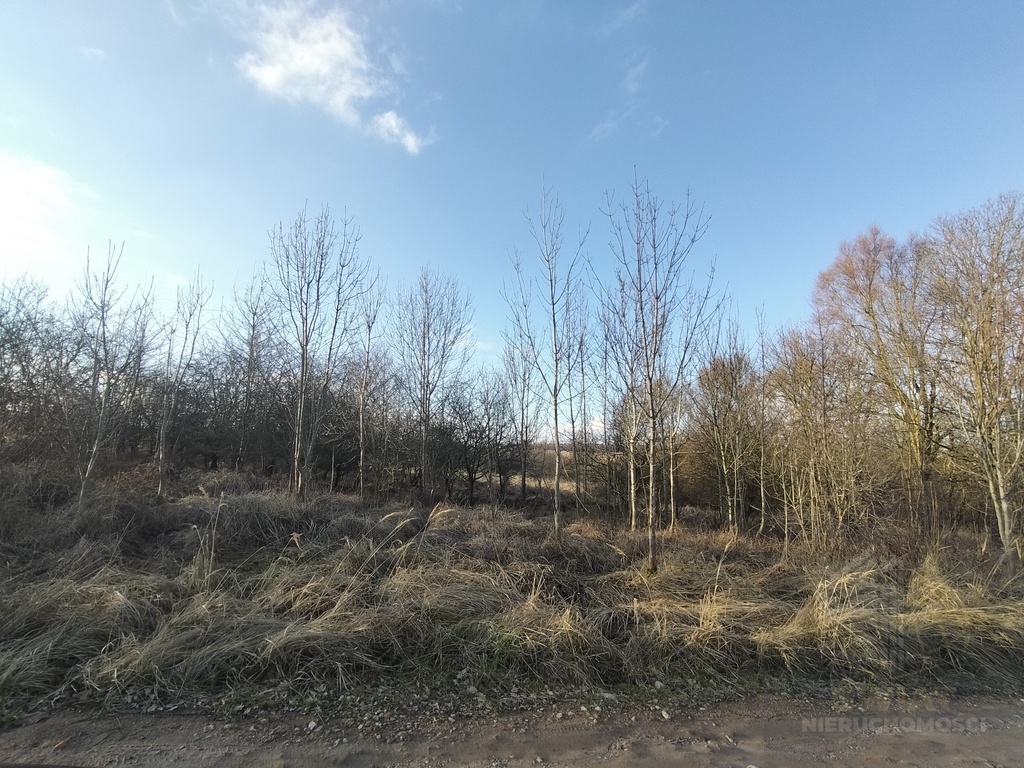 Działki budowlane w Siadle Dolnym (1)