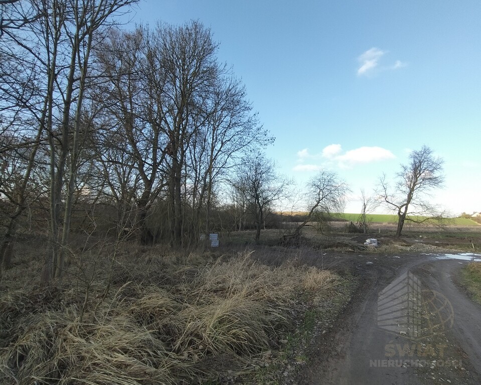 Działki budowlane w Siadle Dolnym (3)