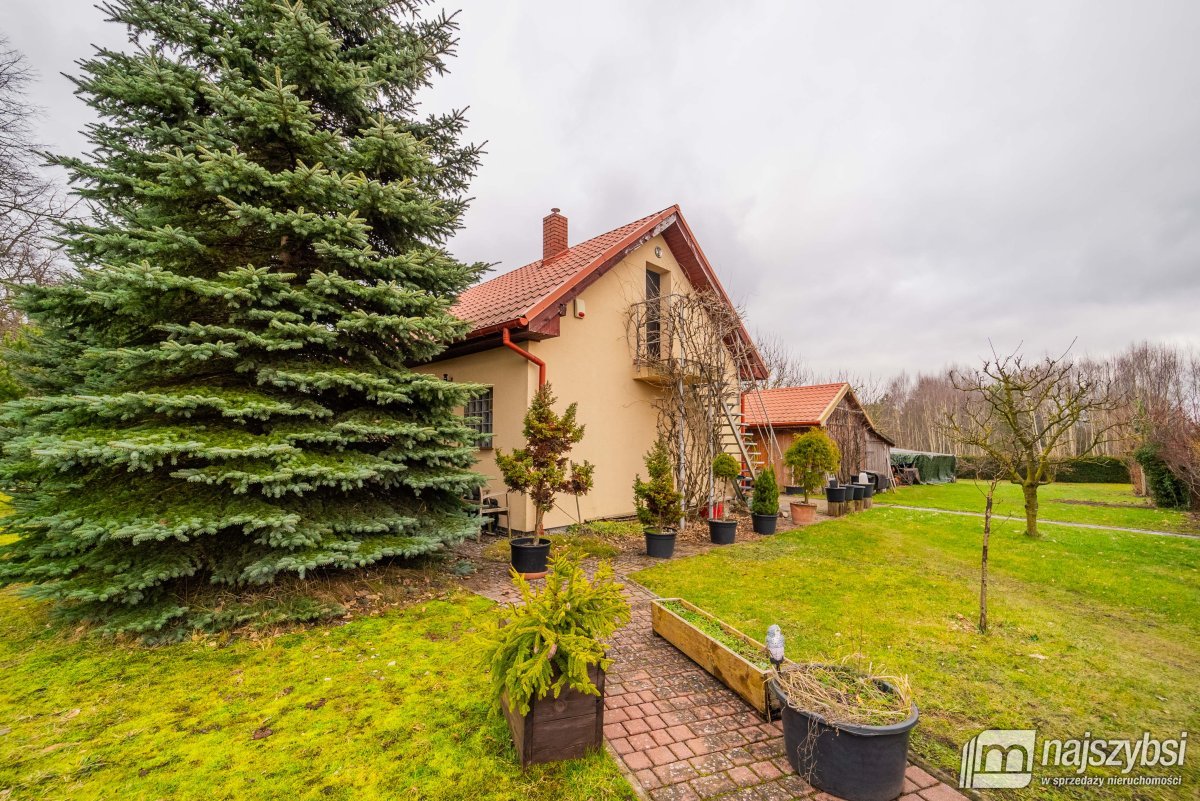 IŃSKO - CZERTYŃ - dom przy lesie - duża działka. (7)