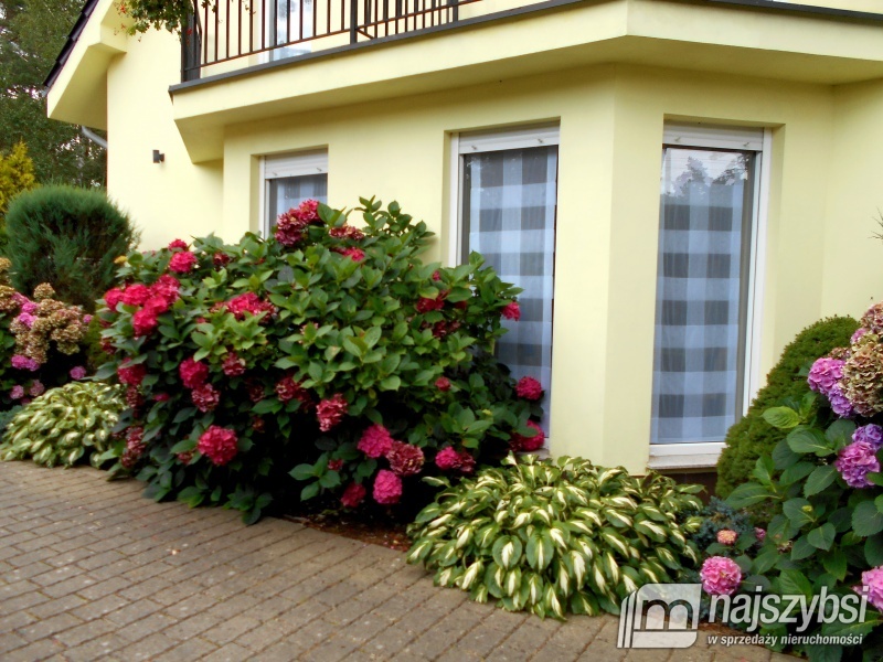 Szeregowiec 100m od Plaży (1)