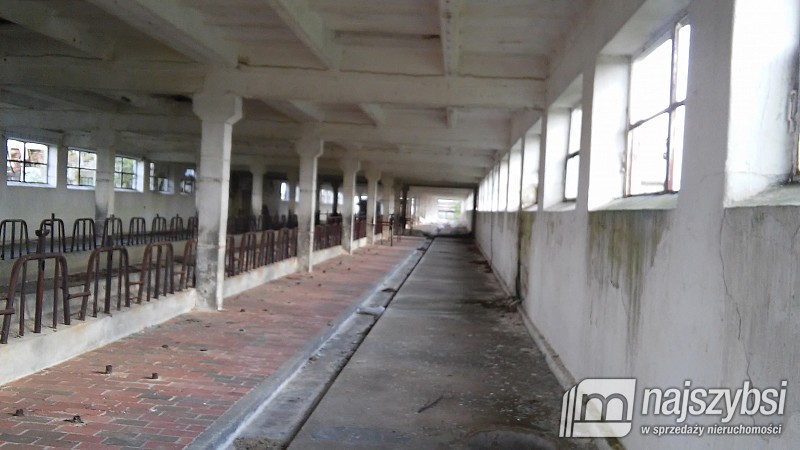 Na sprzedaż obiekty gospodarcze (1)