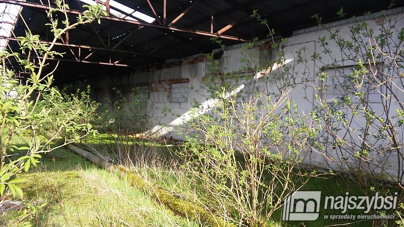 Na sprzedaż obiekty gospodarcze (4)