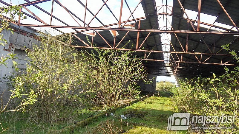 Na sprzedaż obiekty gospodarcze (5)