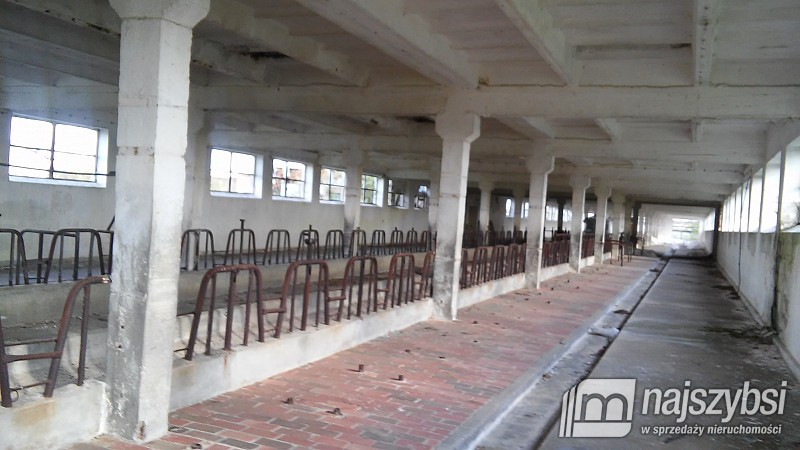 Na sprzedaż obiekty gospodarcze (9)