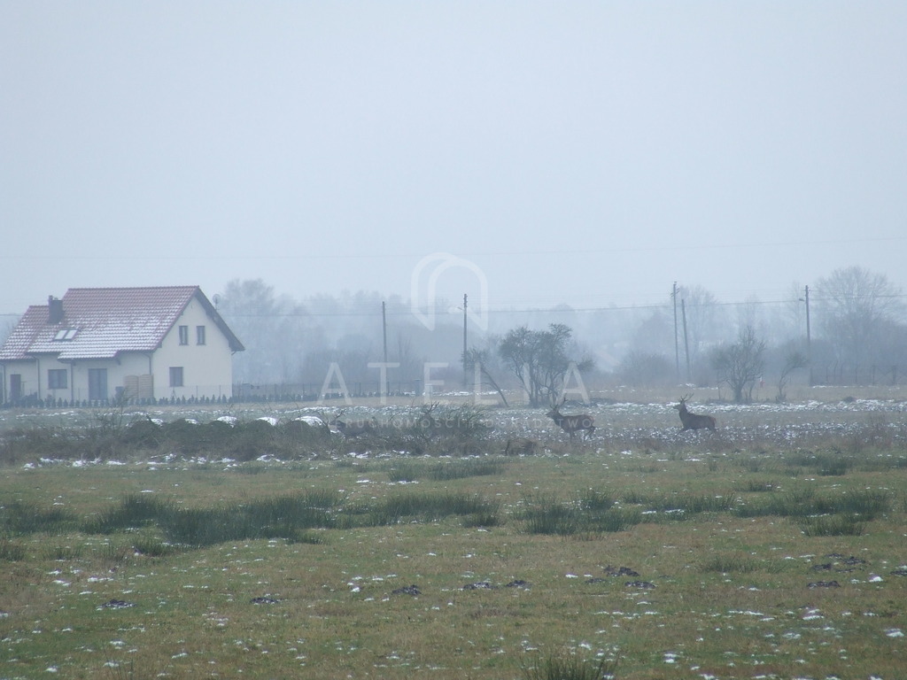 Ostatnia przepięknie położona działka (2)