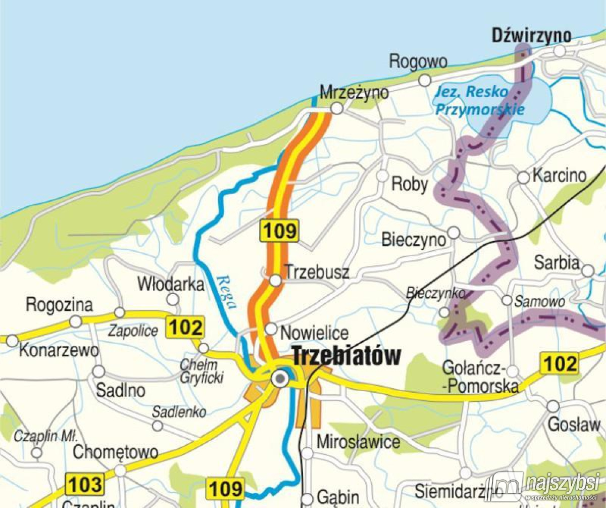 Trzebiatów - centrum - lokale do wynajęcia  (35)