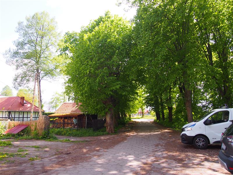 Mieszkanie - Malczkowo  (2)