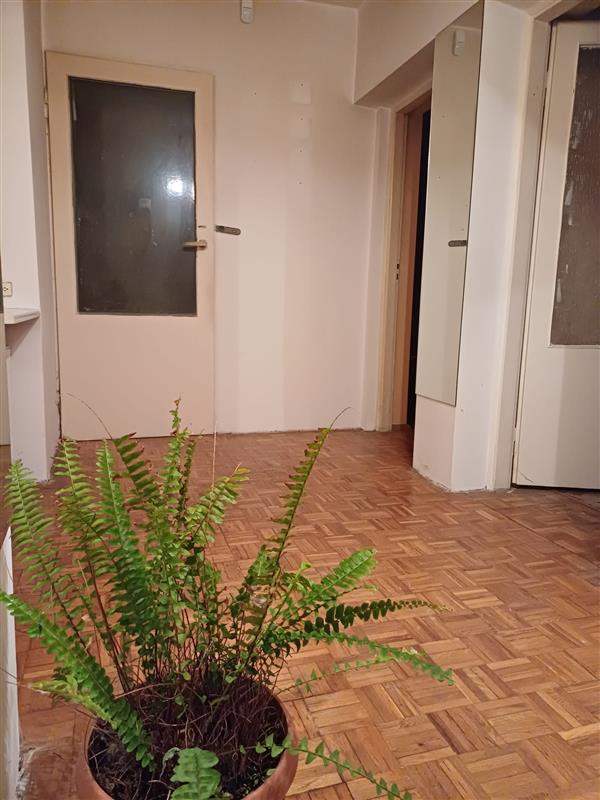 Dom wolnostojący - Słupsk  (6)