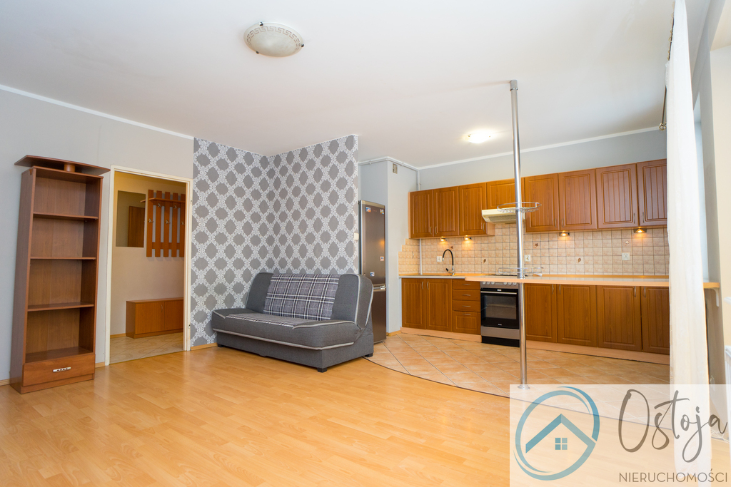 Duża kawalerka z balkonem, wysoki parter, garaż (3)