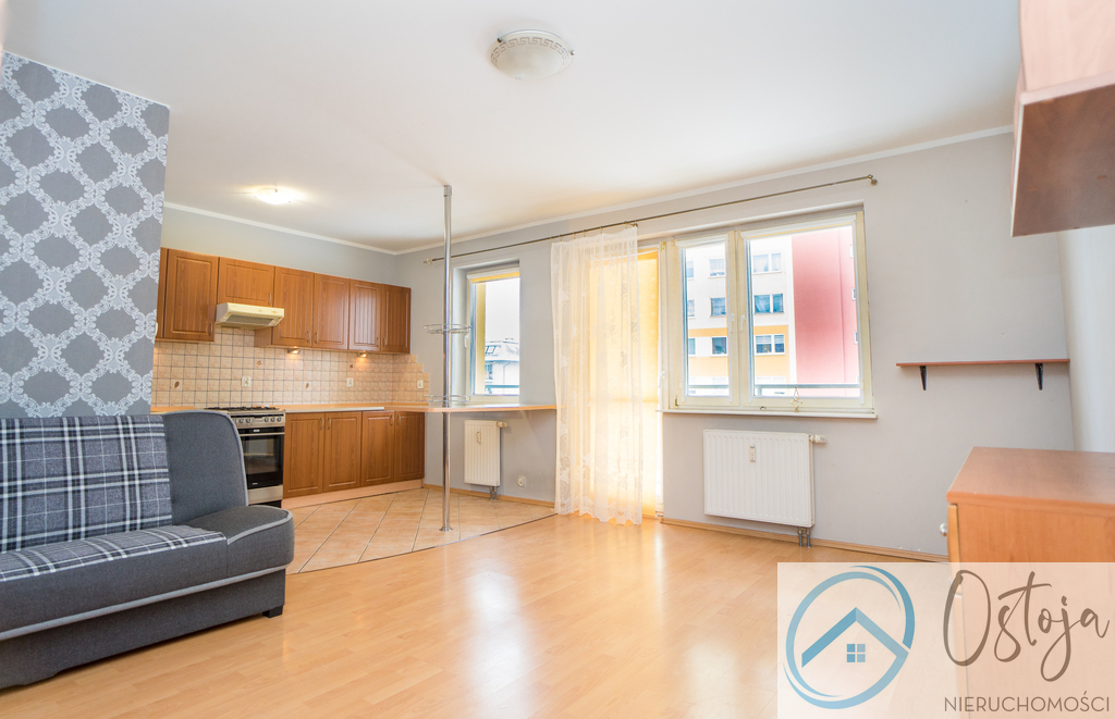 Duża kawalerka z balkonem, wysoki parter, garaż (1)