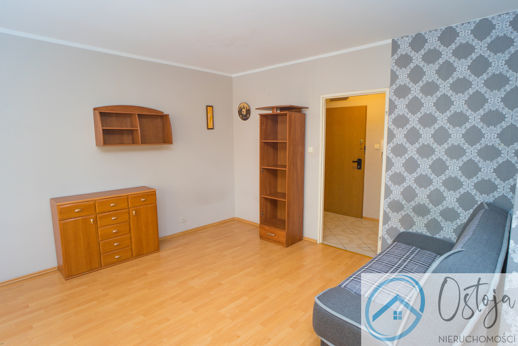 Duża kawalerka z balkonem, wysoki parter, garaż (8)