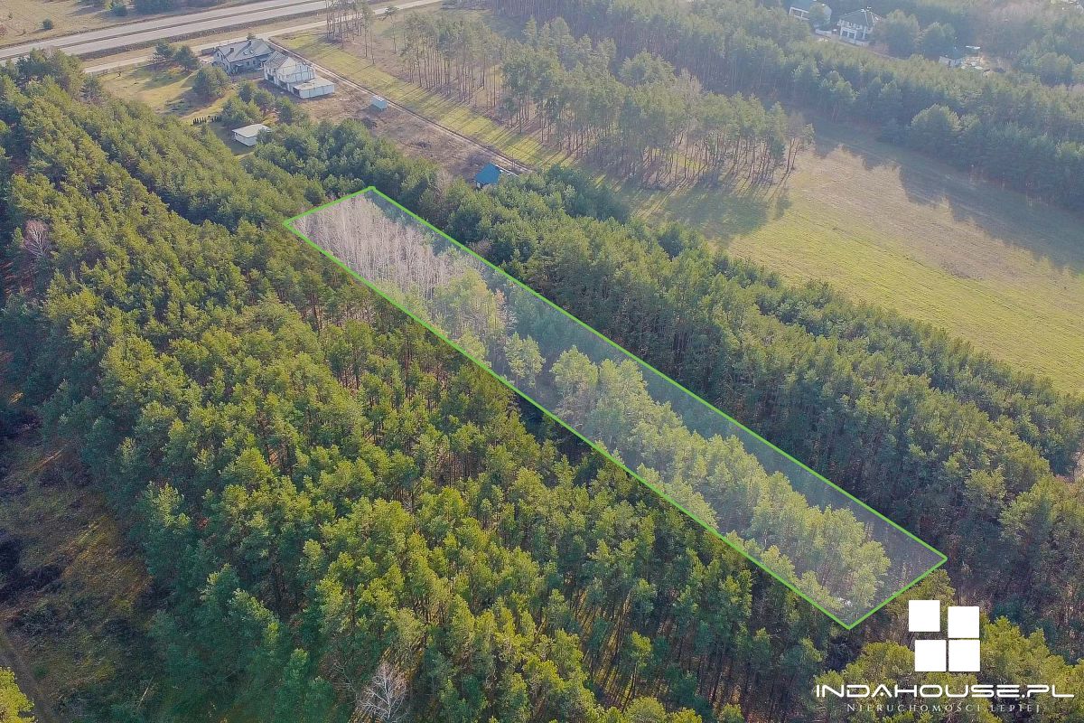 Miejsce na Twój dom 5 minut od plaży nad rzeką Nar (4)