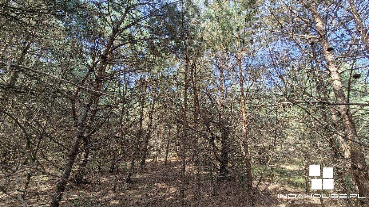 Miejsce na Twój dom 5 minut od plaży nad rzeką Nar (6)