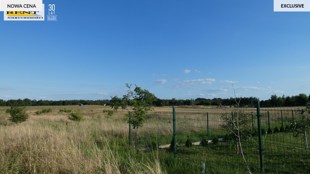 Piękna działka,grunt,teren pod lasem.Blisko granic (2)