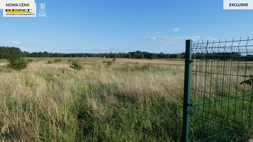 Piękna działka,grunt,teren pod lasem.Blisko granic (3)