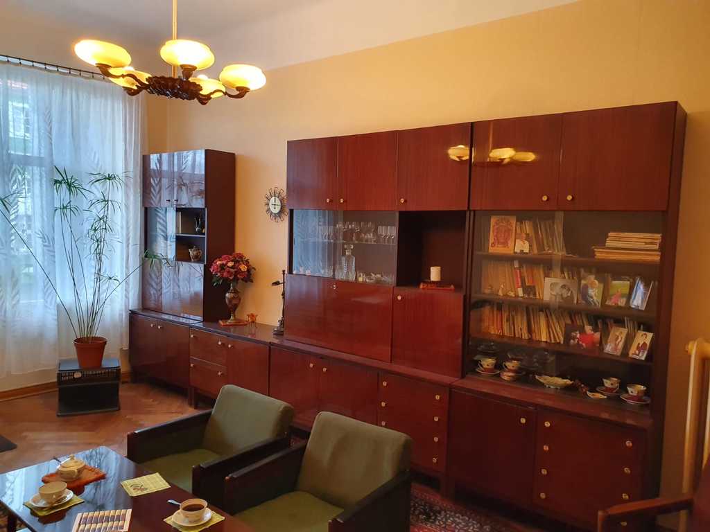 Rewelacyjna lokalizacja-Jasne Błonia (3)