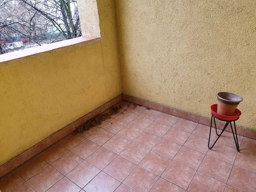 Rewelacyjna lokalizacja-Jasne Błonia (9)