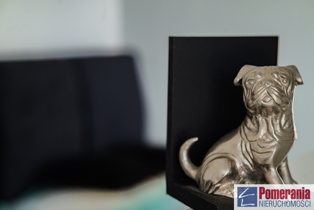 Komfortowy dom w zabudowie bliźniaczej, Bezrzecze (22)