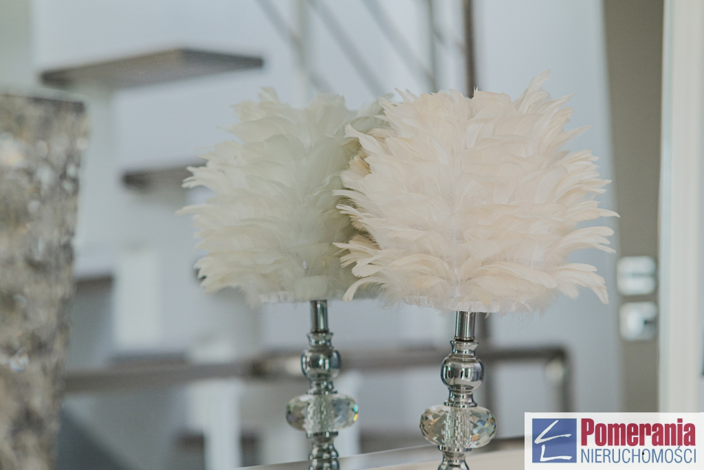 Komfortowy dom w zabudowie bliźniaczej, Bezrzecze (23)