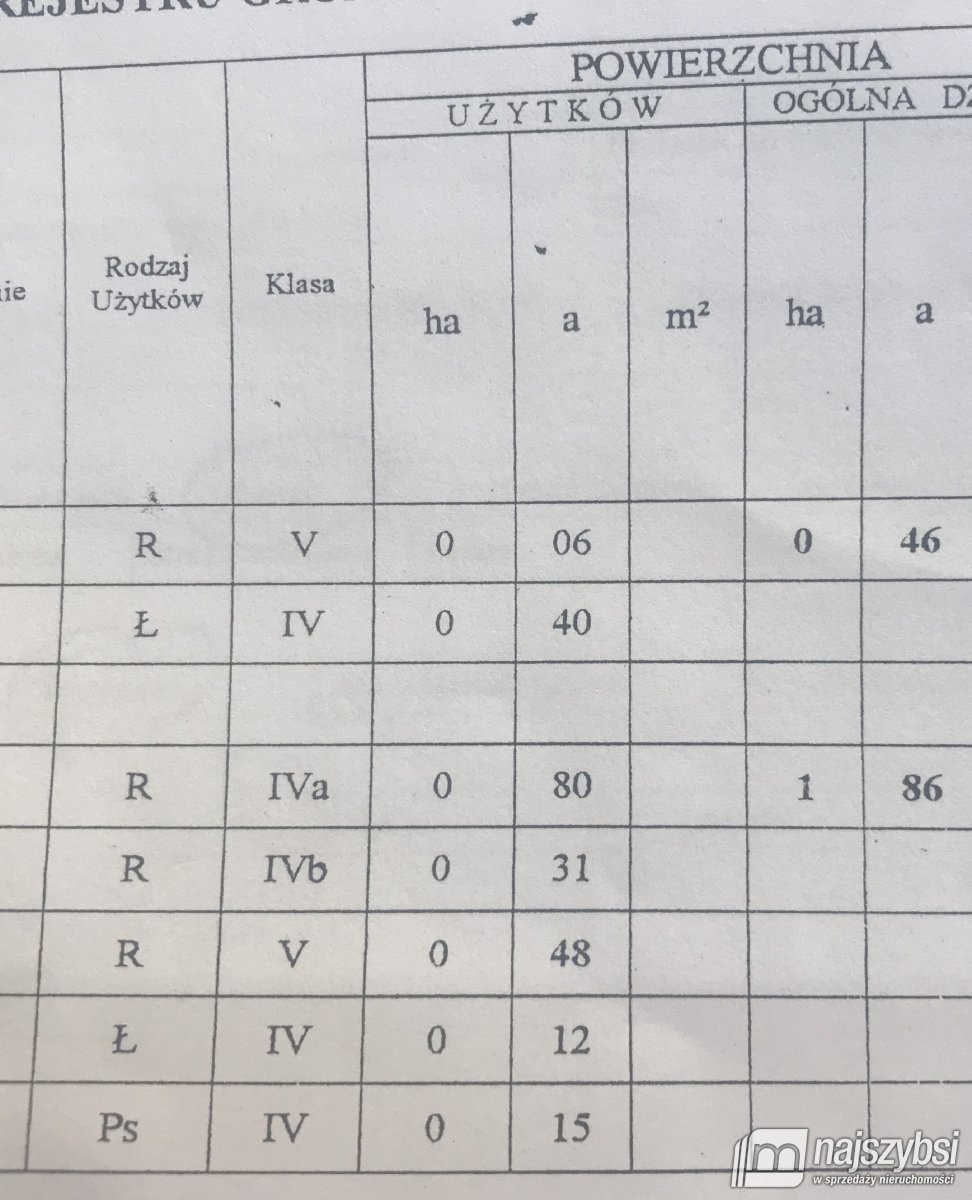 Chojna - atrakcyjna działka 2,32 ha  (15)