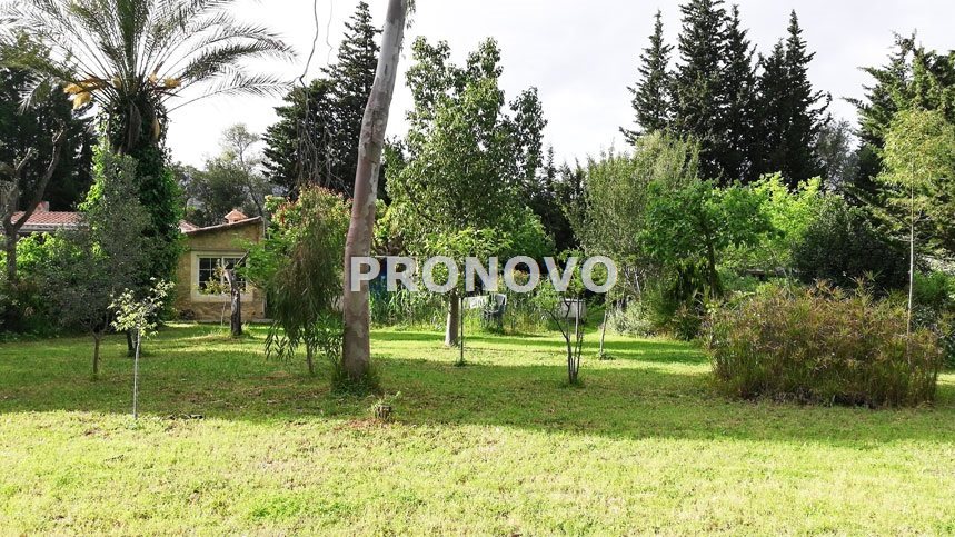 Rezydencja na wyspie Majorka- Hiszpania (3)