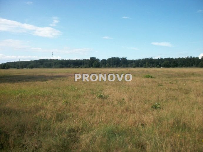 Działka, Smogolice  (1)