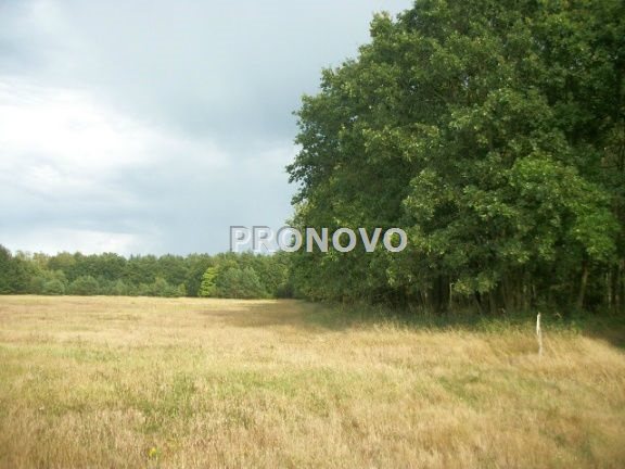 Działka, Smogolice  (2)