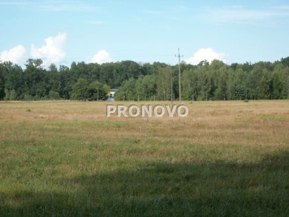 Działka, Smogolice  (3)