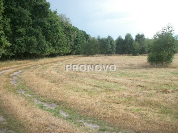 Działka, Smogolice  (4)