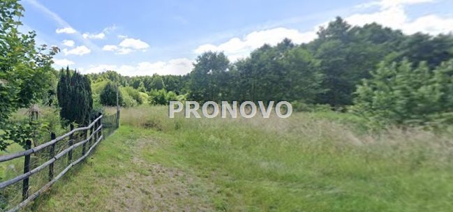 działka nad jeziorem Dominikowo (11)