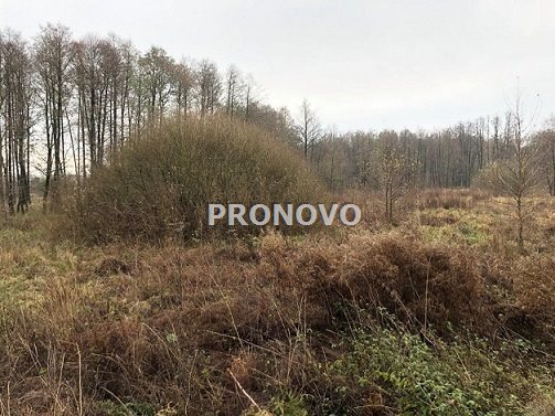 działka nad jeziorem Dominikowo (2)