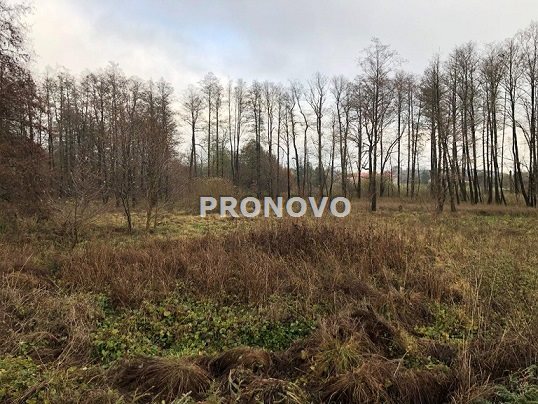 działka nad jeziorem Dominikowo (3)