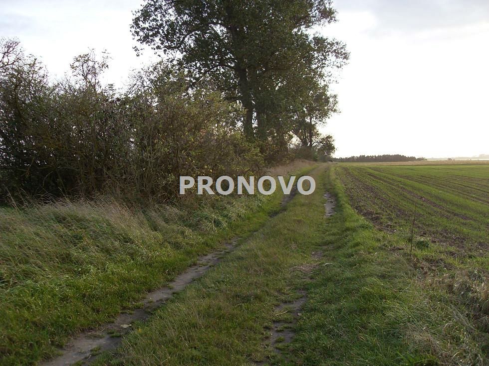 działki nad wodą Kamień Pomorski (10)