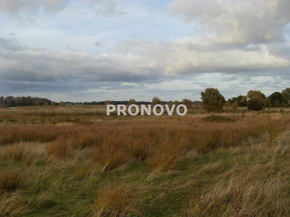 działki nad wodą Kamień Pomorski (11)