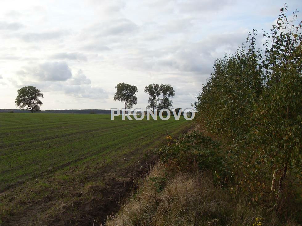 działki nad wodą Kamień Pomorski (5)