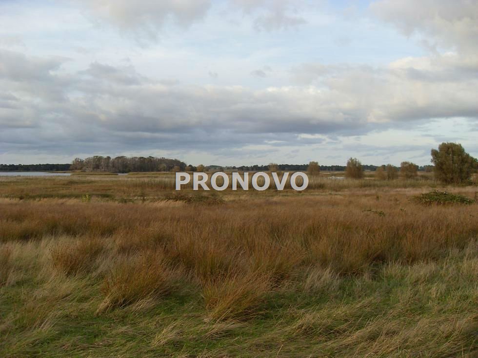 działki nad wodą Kamień Pomorski (9)