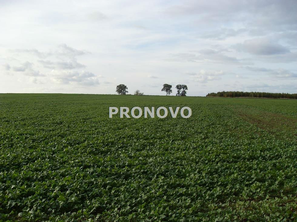 działki nad wodą Kamień Pomorski (3)