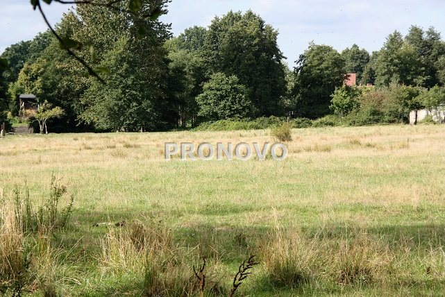 działka 4,5ha Tatynia z możliwością zabudowy (10)