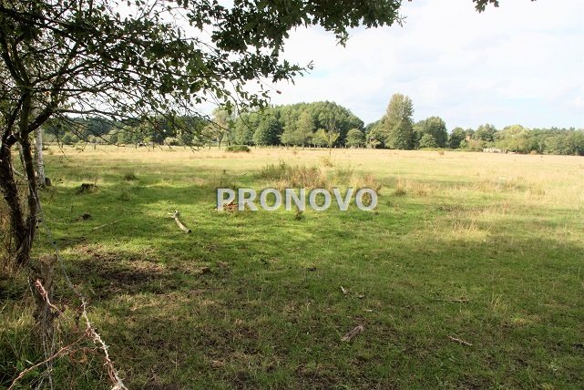 działka 4,5ha Tatynia z możliwością zabudowy (11)